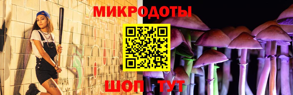 Домодедово  Псилоцибиновые грибы Magic Shrooms  купить  сайты  Вход с VPN 
